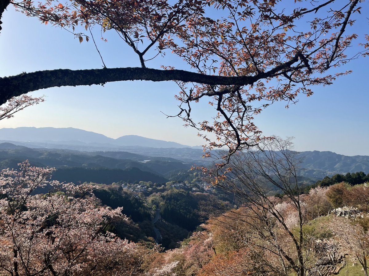 kxtymn's tweet photo. 日本には素晴らしいところがたくさんある。
外国もすき、日本もすき、
最近は自然が大好き。🤍🤍🤍 https://t.co/BVeyekQUXD