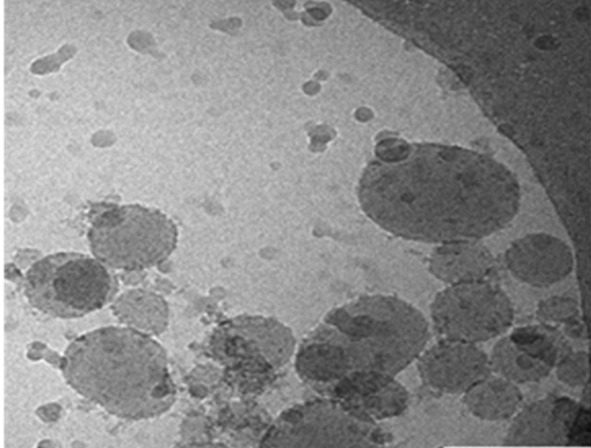 Biomat_ICTP's tweet photo. Nanopartículas cargadas con naproxeno y recubiertas con ácido hialurónico con la capacidad de atacar selectivamente a las células madre cancerígenas a través de vías independientes de COX - https://t.co/PHxHqXJmWh
@CIBERBBN @CIBER_ISCIII @ictp_promocion @CSICdivulga @ucccenquior https://t.co/TuIOT7wT25