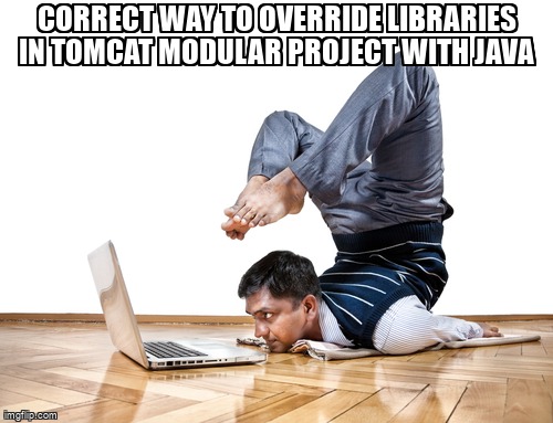 overflow_meme's tweet image. Correct way to override libraries in tomcat modular project with java stackoverflow.com/questions/6728… #tomcat #javamodule #java