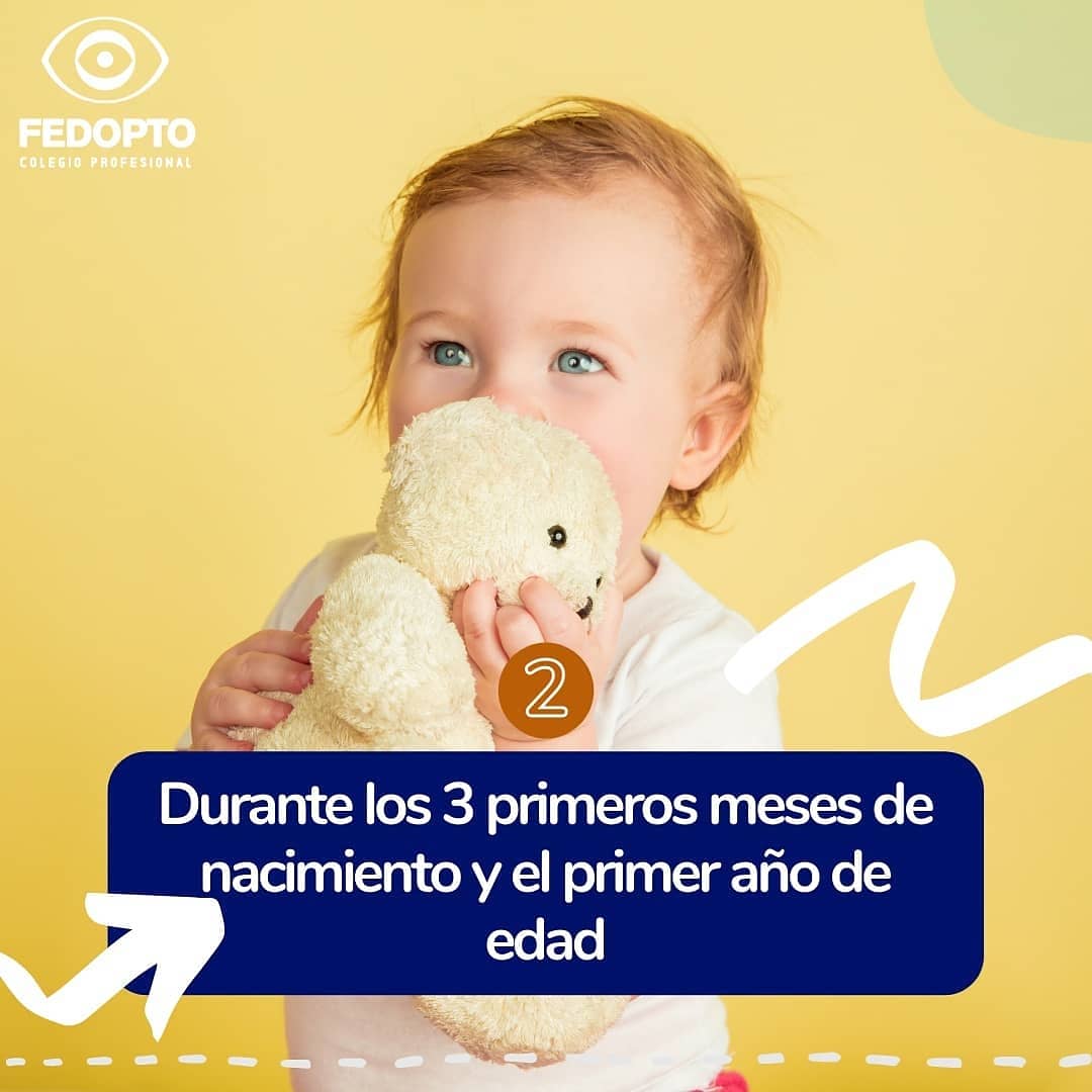 FedoptoOficial's tweet photo. #CuidamosTuSaludVisual

El Colegio Federación Colombiana de Optómetras destaca la importancia de la consulta de Optometría desde la primera infancia, la niñez y la adolescencia.

#MesdelaNiñez
#ComparteConTusPacientes https://t.co/ZIrpDHXvsi