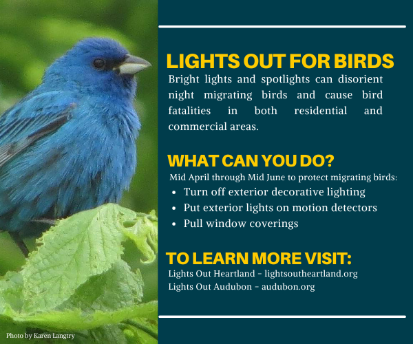 Want to know how you can help save bird lives and help reduce light pollution? During the month of May, it's especially important to turn your lights out as bird migration is in full swing.
Check out our tips on what you can do!
<a href="/LightsOutHeart/">Lights Out Heartland</a> <a href="/audubonsociety/">Audubon Society</a>