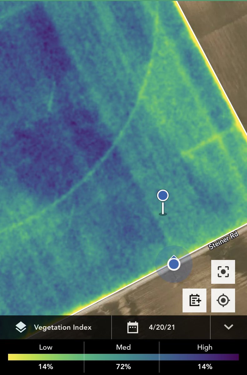AdamOwens_11's tweet photo. I love scouting fields with @GranularAg imagery. High resolution imagery makes it easy to find right to the row differences in management practices. Left is twin row and right is single row. Picking up canopy closure differences between the two. #Agronomy #TwinRow #TXCorn https://t.co/NNLxupClTU