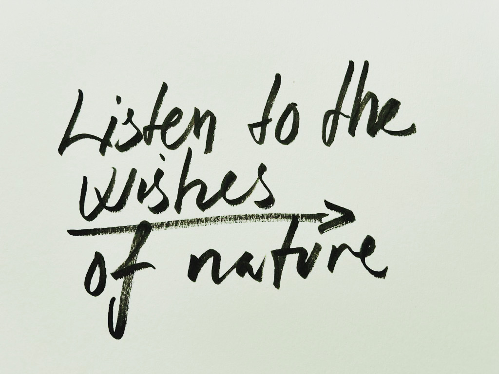 olafureliasson's tweet photo. Honored to join with the Hirshhorn to make Yoko Ono’s ‘Wish Tree For Washington DC’ virtual for the first time. 

‘Make a wish. Write it down on a piece of paper... Ask your friend to do the same. Keep wishing.’ – Yoko Ono 

@Hirshhorn #Hirshhorn #WishTreeDC #YokoOno https://t.co/Ywcfewb9EP
