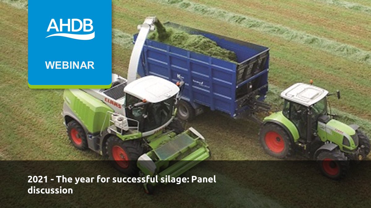 Missed our recent webinar on successful silage? Watch the recording: youtube.com/watch?v=nliRPx…

We're running a follow up group discussion with independent consultant George Fisher tomorrow at 7-8.30pm. If you would like to join, email emily.collins@ahdb.org.uk to book your place.