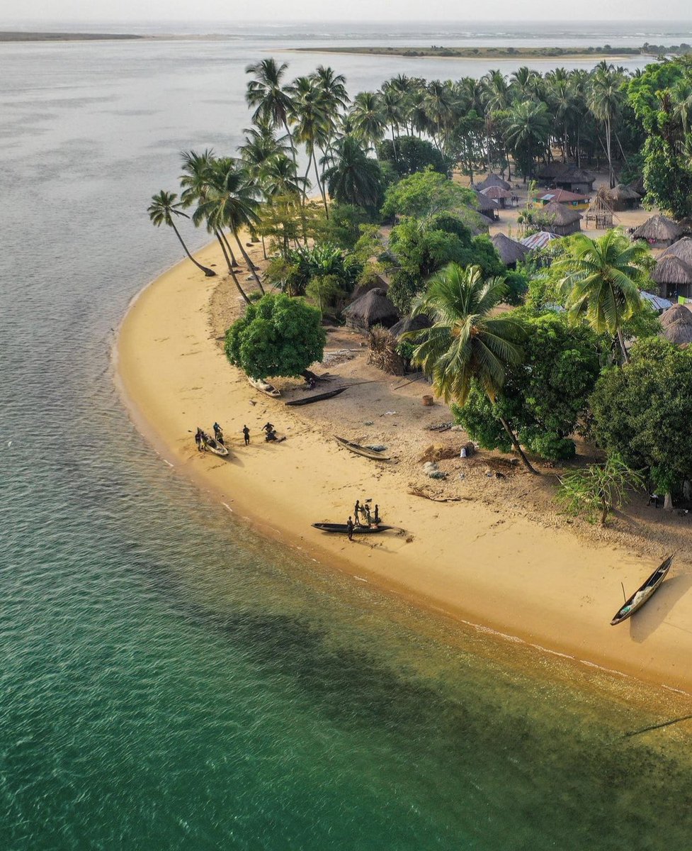 thisissierraleone tweet media