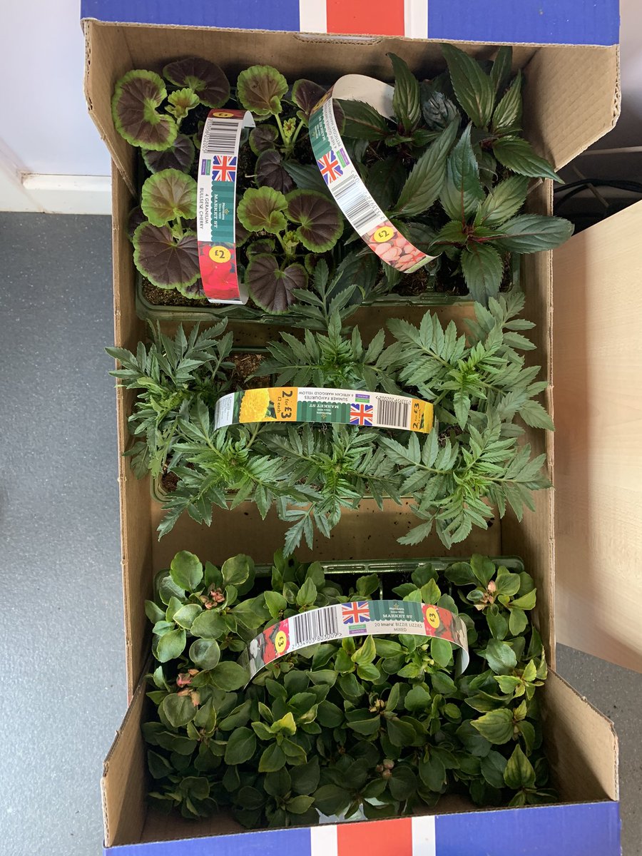 lynne anderson (@sambambo) on Twitter photo Huge thanks to Johnstone Morrison’s for their kind donation of plants & seeds to <a href="/WallacePrimary/">Wallace Primary & Nursery</a> Huge thanks to Johnstone Morrison’s for their kind donation of plants & seeds to <a href="/WallacePrimary/">Wallace Primary & Nursery</a>