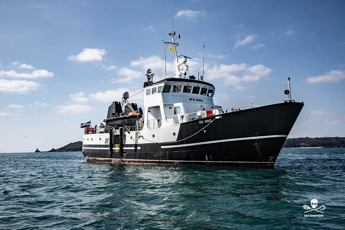 SeaShepherdDe's tweet image. NEUZUGANG FÜR UNSERE FLOTTE
Die SEA EAGLE 
Alle Informationen hier:
tinyurl.com/n8xk8dx9