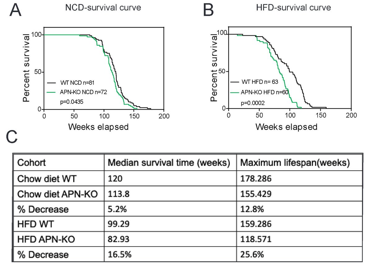 Henne_Lab tweet media