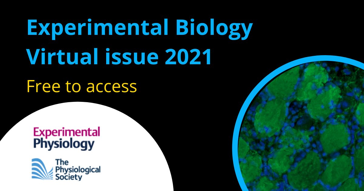 ExpPhysiol's tweet photo. π
Check out our virtual issue of recently published research, compiled to complement the @expbio programme #expbio21 https://t.co/ze9uGRhdVa https://t.co/3RtFfdlRXV