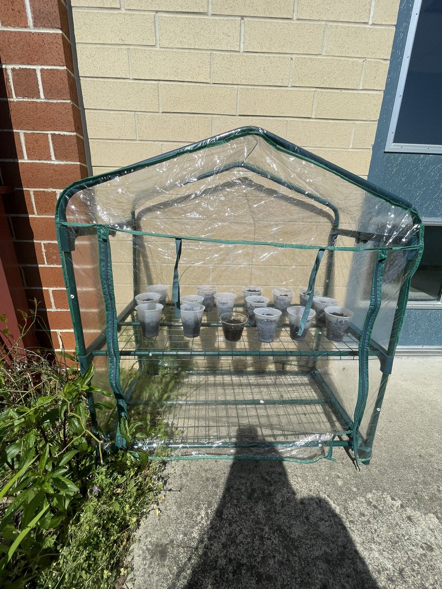 Jen Connolly tweet media