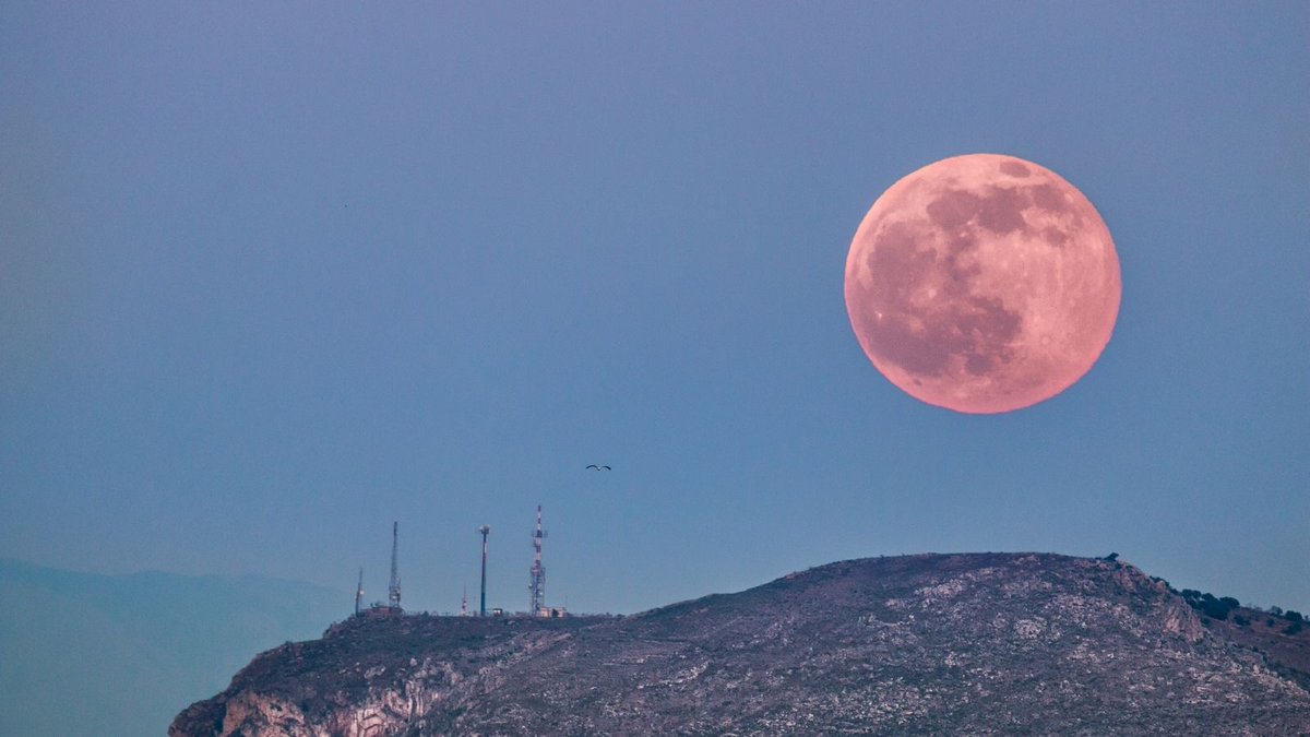 HSMOxford's tweet image. April’s 2021 Pink Moon is also a Supermoon. A Supermoon is a Full or New Moon that occurs when the centre of the Moon is less than 360,000 kilometres from the centre of Earth. The moon appears larger in the night sky, and an estimated 16% brighter than an average Full Moon. 

3/4