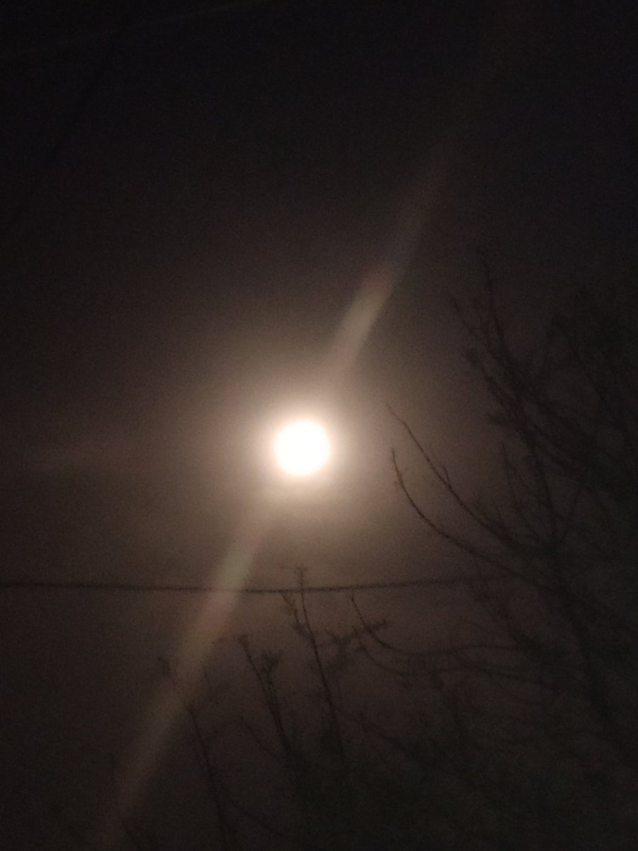 AanchalPsd's tweet photo. ॐ श्रां श्रीं श्रौं स: चन्द्रमसे नम:।🙏
If you can, take time to observe #moon #meditation &amp; #mantra #chanting.Start with simple movements &amp; alternate nostril breathing.Then the Chandrabhedan #pranayama helpful in cooling the body, high BP &amp; releases stress. #FullMoon #Moonlight https://t.co/nz0cF9xNvr