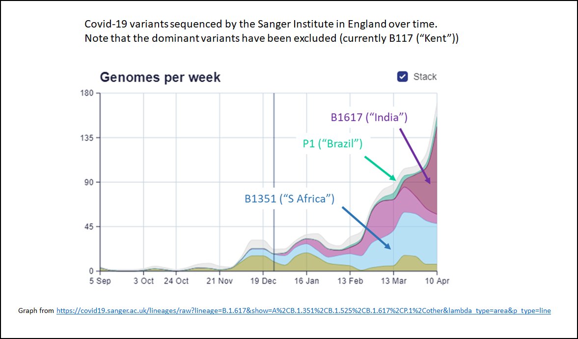 This chart show the numbers of potentially worrying variants sequenced each week. The recent rapid growth of the India variant (B1617) & the highish, steadier, numbers of S African variant (B1351) are clear (not great). Brazil variant (P1) almost negligible (good!). 2/7