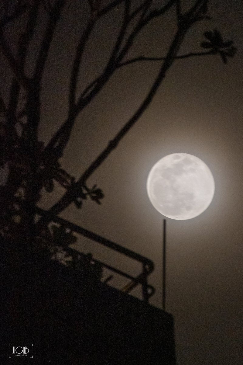 คืนนี้พระจันทร์สวยเนอะ 🌕☺️

ในที่สุุดก็ได้เจอ :)
#SuperPinkMoon
#FullMoon #SuperFullMoon
#Supermoon #moon #Bangkok #Thailand
#ดวงจันทร์ #พระจันทร์
#jigabphoto