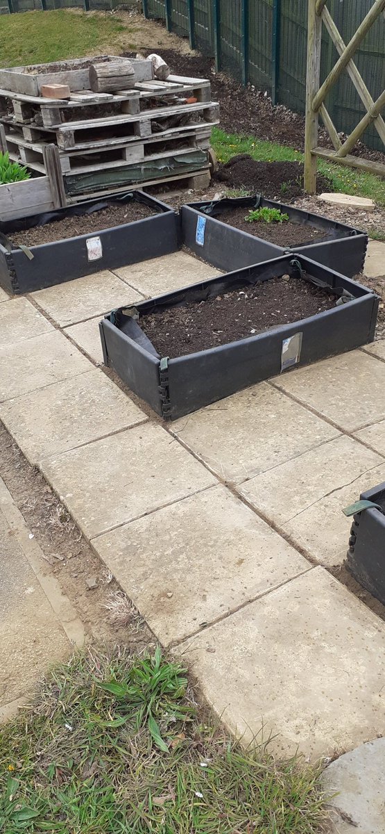 hedges_nicola's tweet image. our vegetable beds are ready to plant,one of the school lunch supervisors has spent the last 2 days clearing for me 🙂 I love to see our school community in action so caring,I think I may have a volunteer for forest school too ♥️ she loves being outside #sharedthinking #teamwork