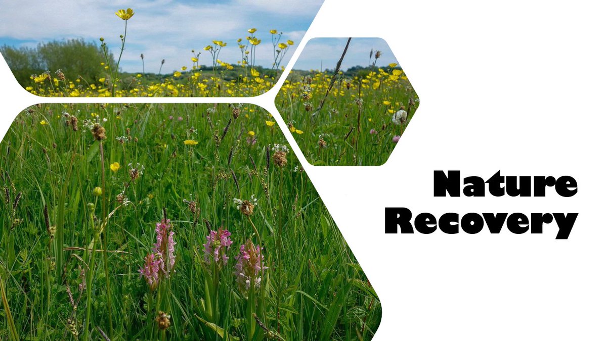 CaféTransition tweet media