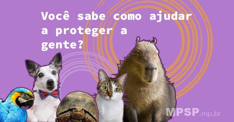 mpsp_oficial's tweet photo. Hoje é o #DiaDaProteçãoAnimal🐾
O #MPSP atua na proteção de animais domésticos e silvestres, por meio das Promotorias de Justiça do #MeioAmbiente e #Gaema. Nesta cartilha da instituição https://t.co/zcdD5XM2M1, você encontra informações para combater essa violência #DefesaAnimal https://t.co/EE0Ps6ZAqN