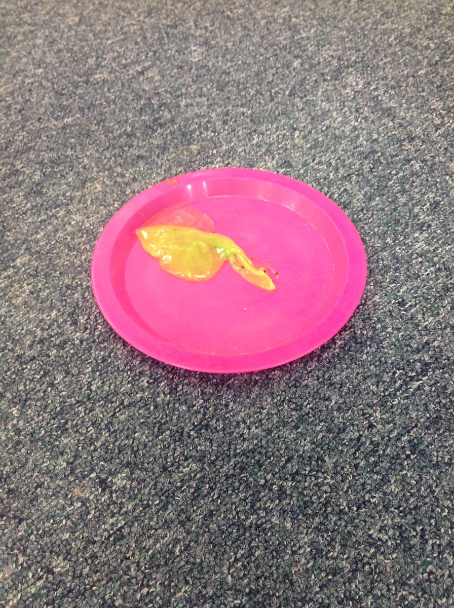 Class3KA_NR's tweet photo. We found out who left the gardening items in our classroom - it was the farmer from The Enormous Turnip! What a mess! We also found some green slime - very strange 🤷🏻‍♀️ 😉 #English #classicstories #slime #friendlyalien https://t.co/wPNbbUVtqQ