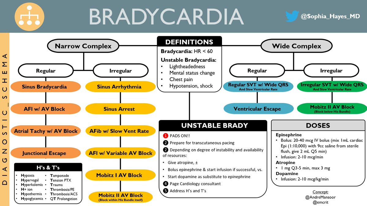 You asked for it: Bradycardia!