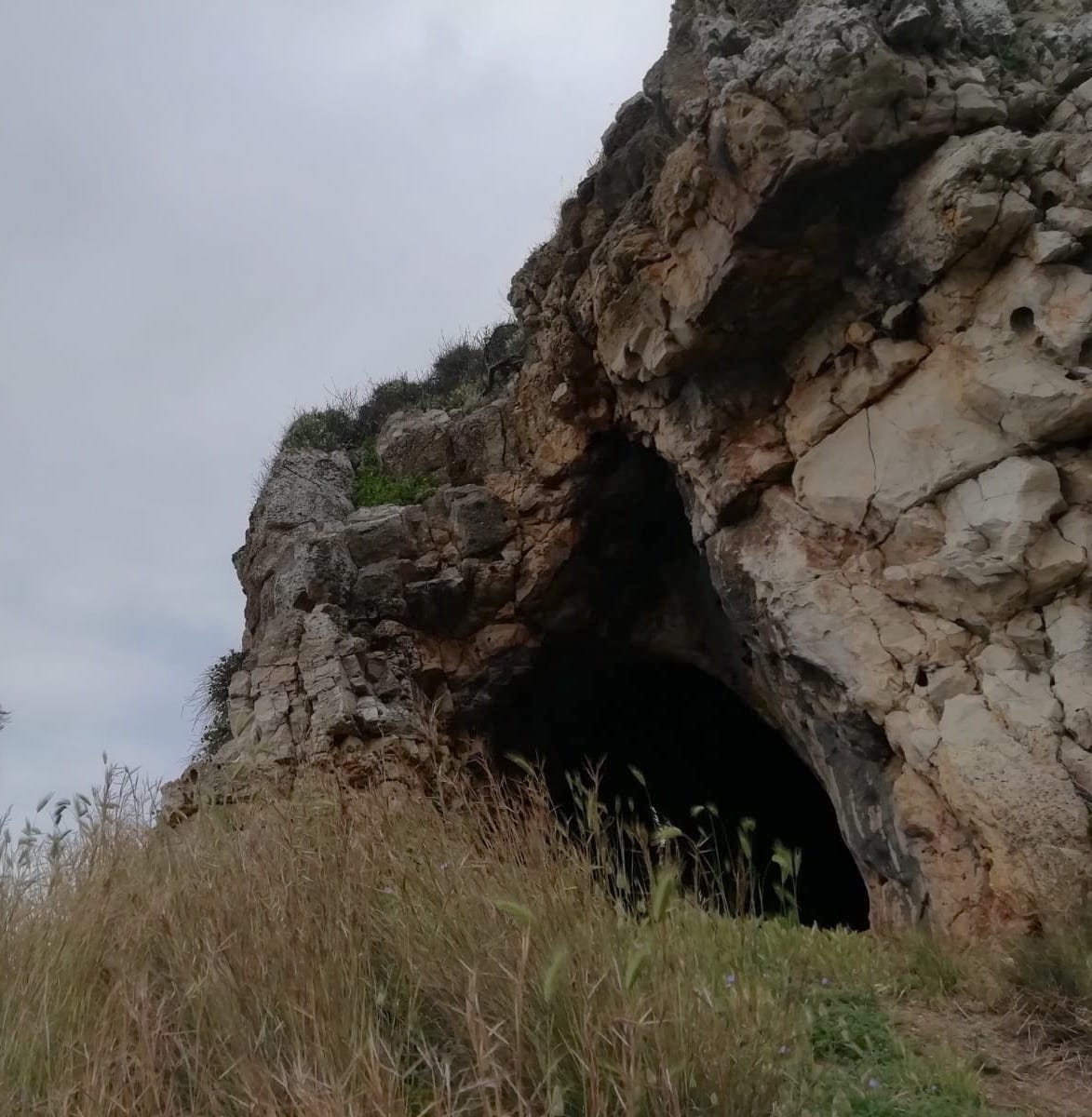 #iNea Quali relazioni esistono tra manufatti e ambiente naturale? Quali strumenti abbiamo per riconoscere le trasformazioni che determinano sul territorio? Si conclude il PCTO con il Liceo Antonio Vallone di Galatina (LE) coordinati dalla prof.ssa R. Romanelli e Italia Nostra.