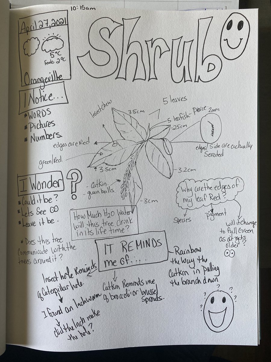 Billie Jo Reid tweet media