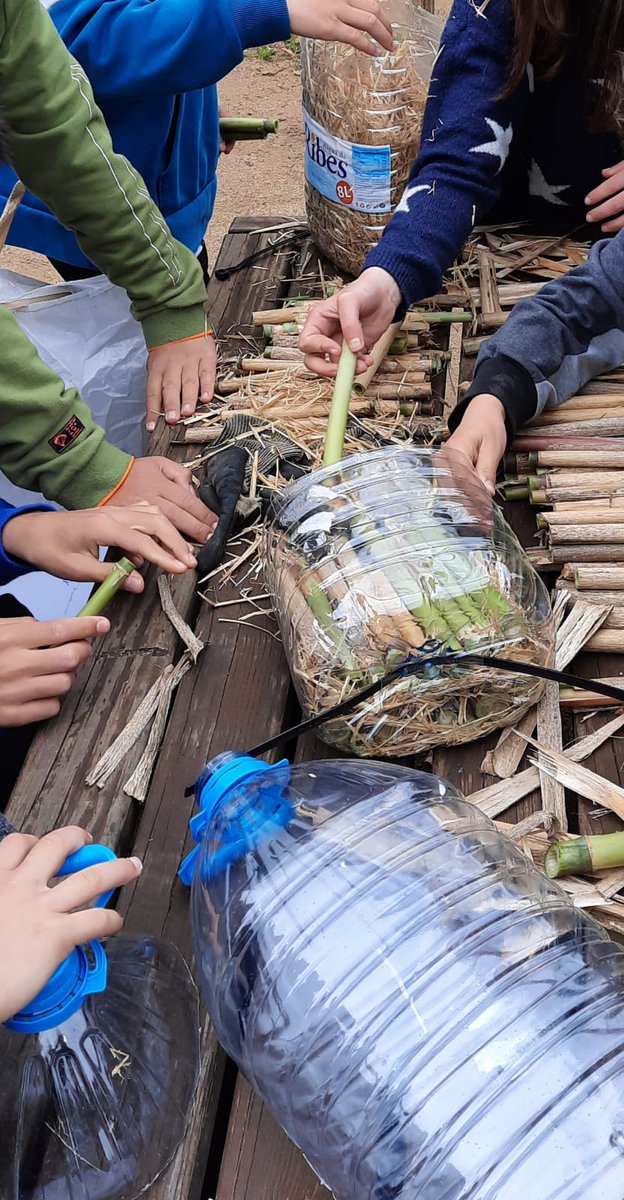 aj_centelles's tweet photo. Aquest matí, a l'escola Xoriguer #Centelles explicant com farem #controlbiologic de plagues a l'arbrat viari amb #TacOsona #educacioambiental https://t.co/qDxZlBsaok