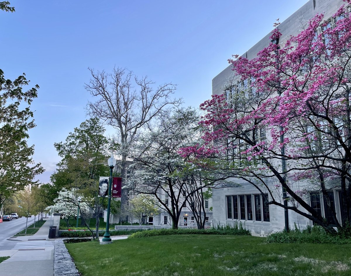 Gabrielle Goodwin (@glgoodwin) on Twitter photo In my 10 years <a href="/IUBloomington/">IU Bloomington</a> teaching <a href="/IUMaurerLaw/">IUMaurerLaw</a>, I'm sure this is the most beautiful spring I've ever seen! #IUDAY In my 10 years <a href="/IUBloomington/">IU Bloomington</a> teaching <a href="/IUMaurerLaw/">IUMaurerLaw</a>, I'm sure this is the most beautiful spring I've ever seen! #IUDAY