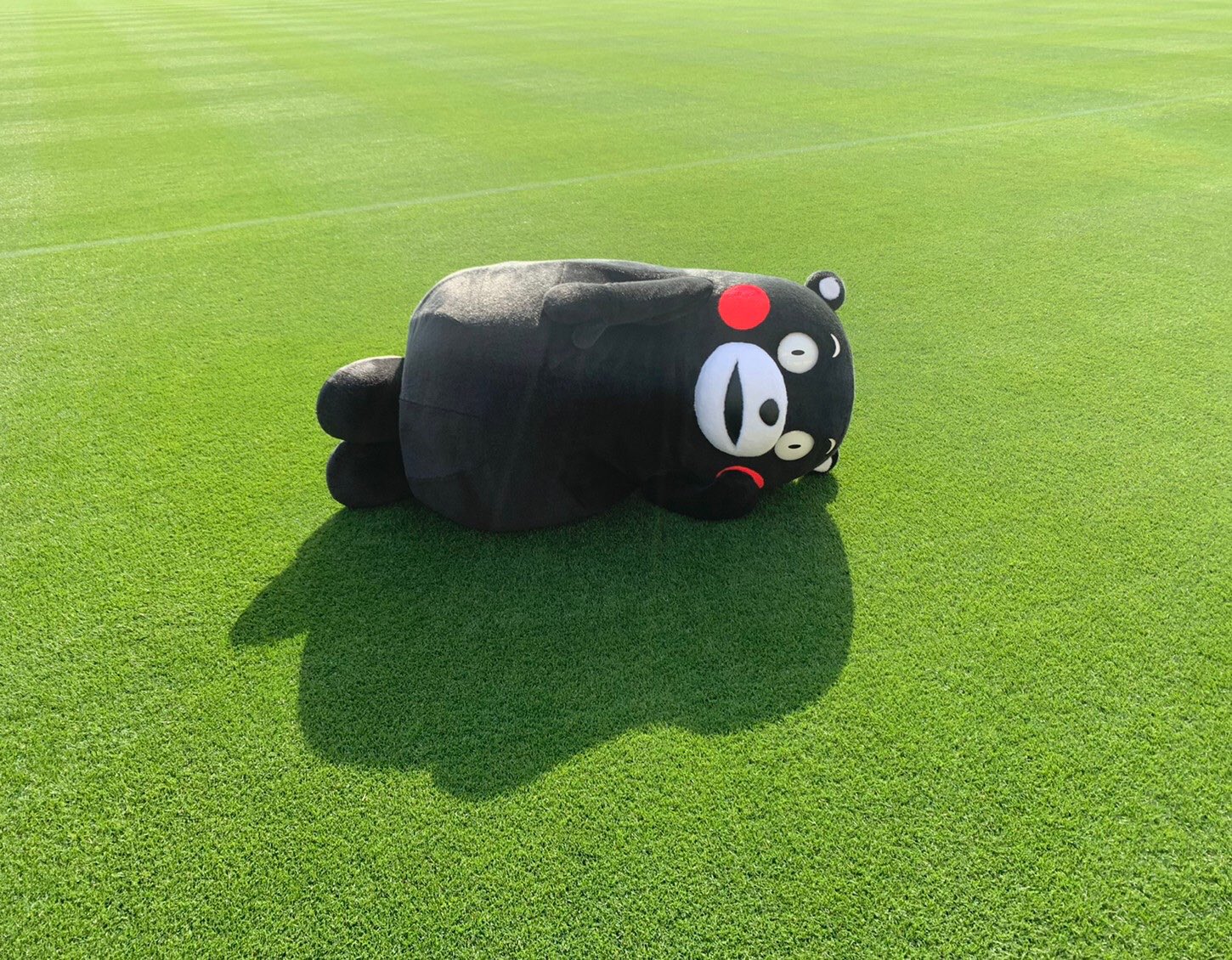 くまモン 公式 今日はここで おやくま T Co Odqty631ww Twitter くまモン 公式 今日はここで おやくま T Co Odqty631ww Twitter
