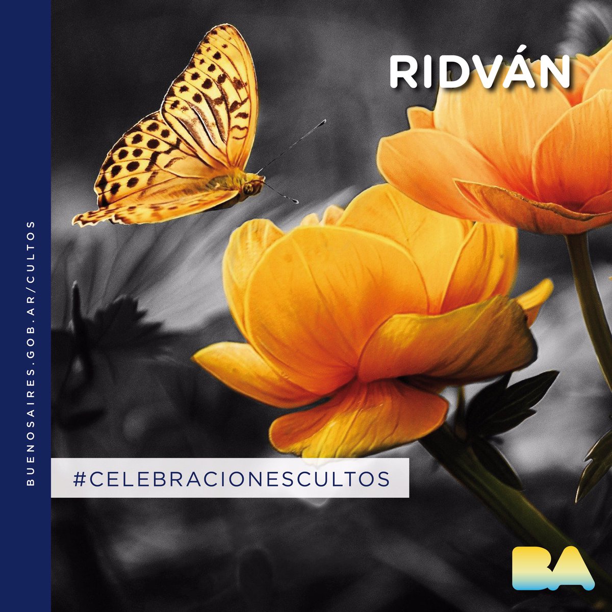 dgcultos's tweet photo. Saludamos a la comunidad Bahá'í que hoy comienza a celebrar Ridván. 

Es la celebración del momento más importante en la historia de los orígenes de la Fe bahá'í. Esta fiesta conmemora la Declaración de la Misión de Bahá'u'lláh.

#FestividadesCultos #BADelEncuentro #Ridvan https://t.co/dnMbUAJqmX