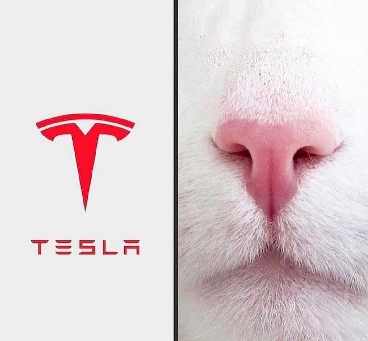 MensHumor's tweet photo. Makes total sense. https://t.co/pzxdQMHRhy