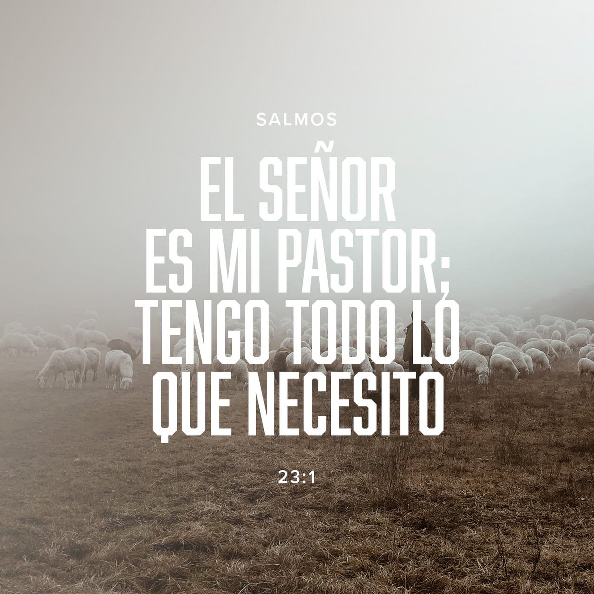 _Zuleikat's tweet image. El Señor es mi pastor; tengo todo lo que necesito. En verdes prados me deja descansar; me conduce junto a arroyos tranquilos.
Salmos 23:1-2 NTV