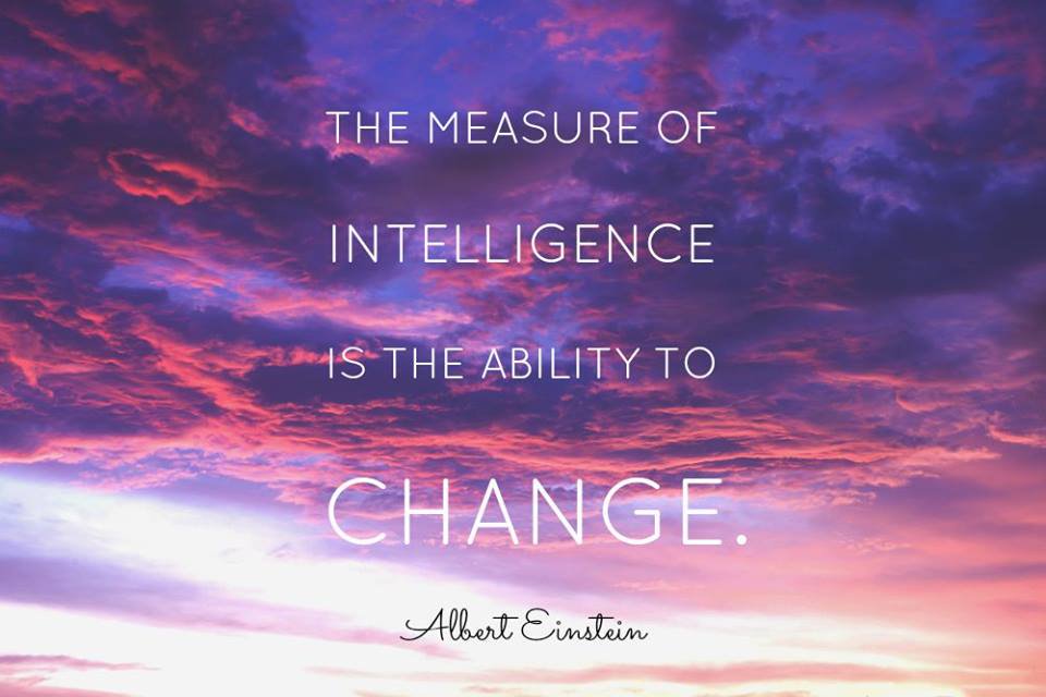 Carolyn Newsom tweet media