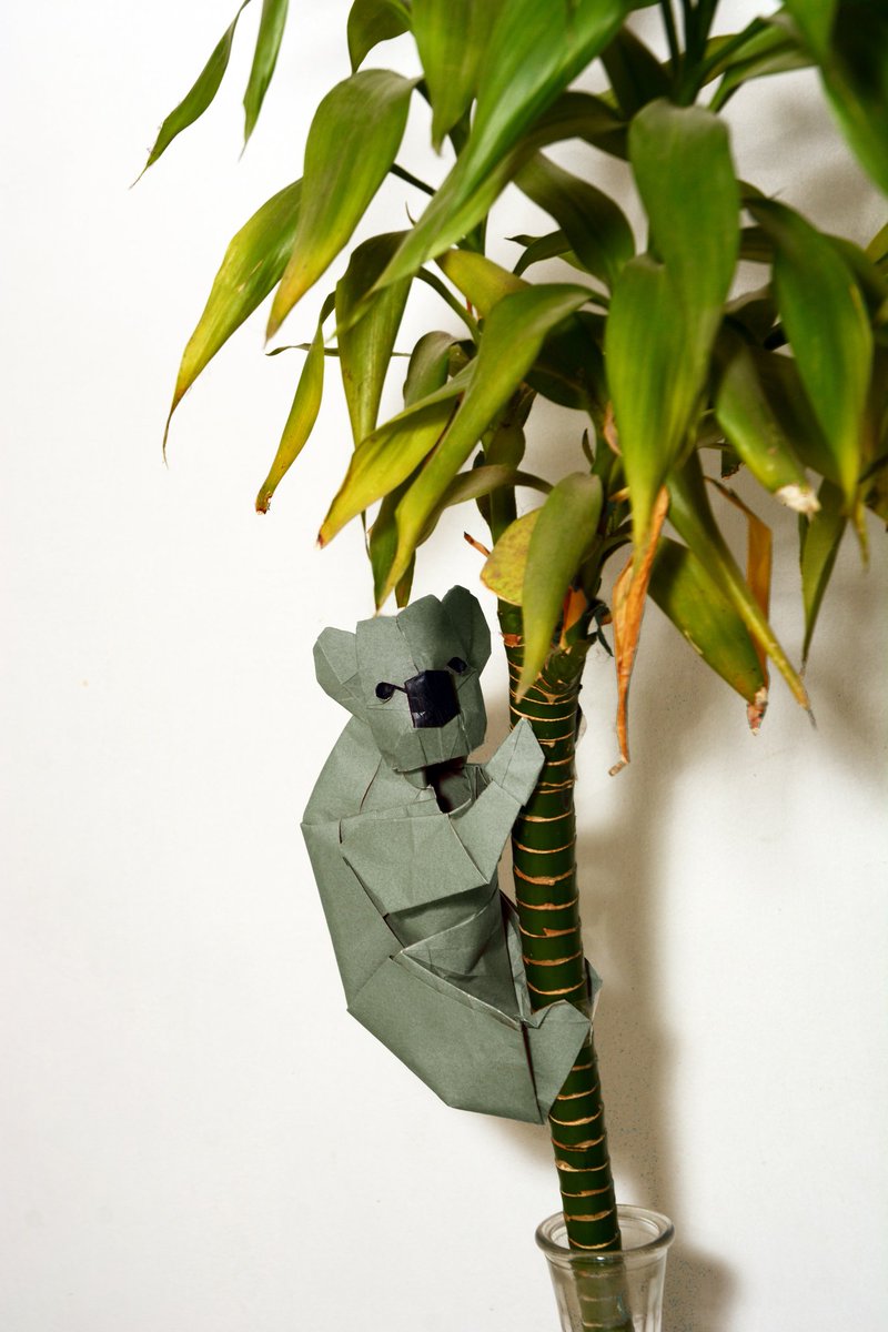 Koala de Gen Hagiwara