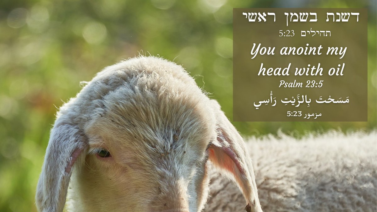 "You anoint my head with oil" Psalm 23:5