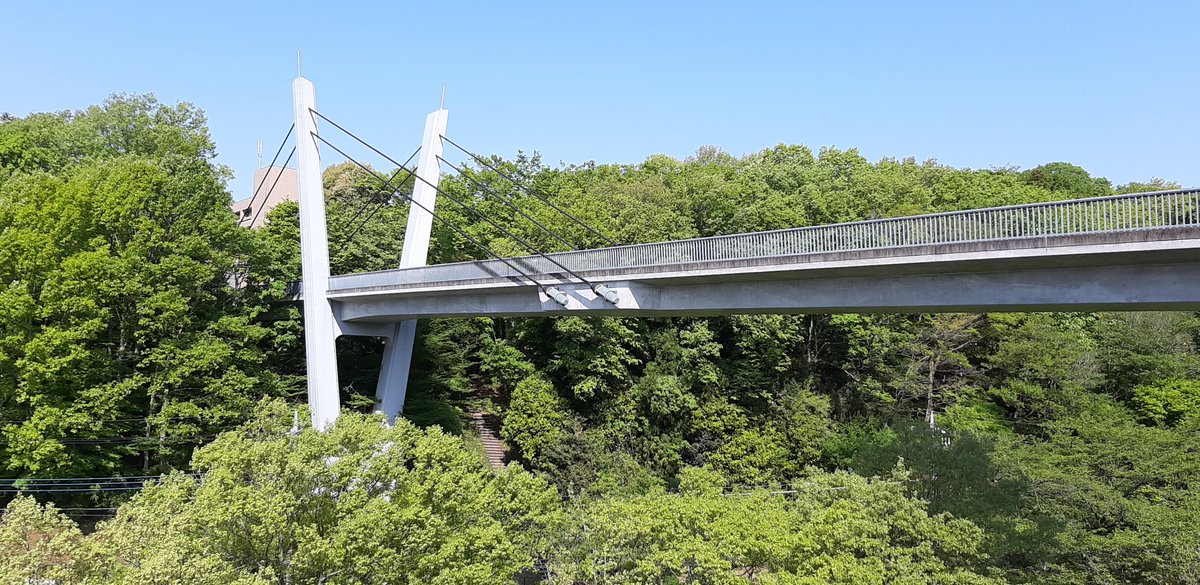 K_A_W_AAA's tweet image. ｢ここ、大学だよ...？｣

#猪野坂 #カケルman2 #PAGH #ハッスルしろよガングル #ヘイレン #劇場版ヘイレン #ペイジの逆工 #烏島心作品 #ヘイレン好きとつながりたい