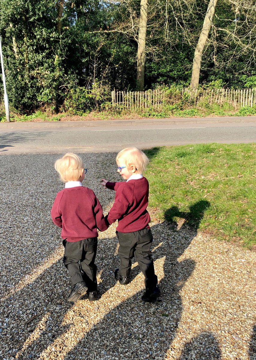 Tim Watkins tweet media