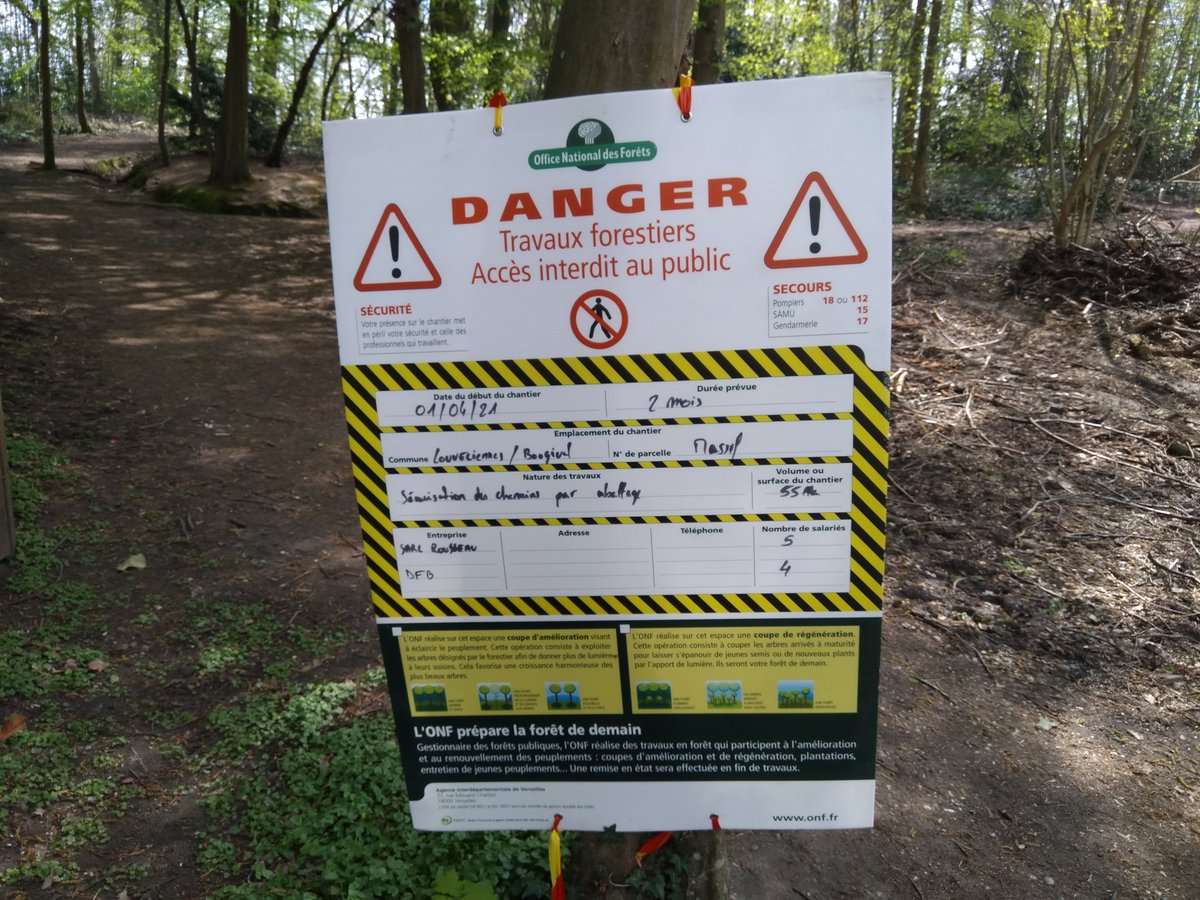 AssoRacine's tweet photo. Caractère massif des coupes de sécurité de l'#ONF dans la forêt de #Louveciennes! Espérons que ce ne sera pas comme le long de la ligne L de la SNCF ! https://t.co/a4BHoE9qeG