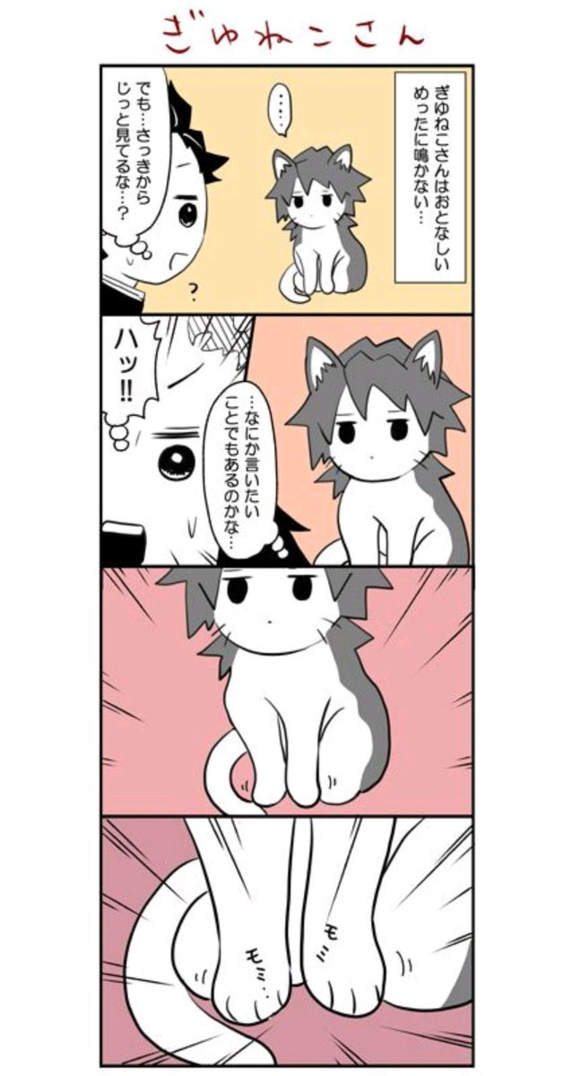 ぎゆねこさん 