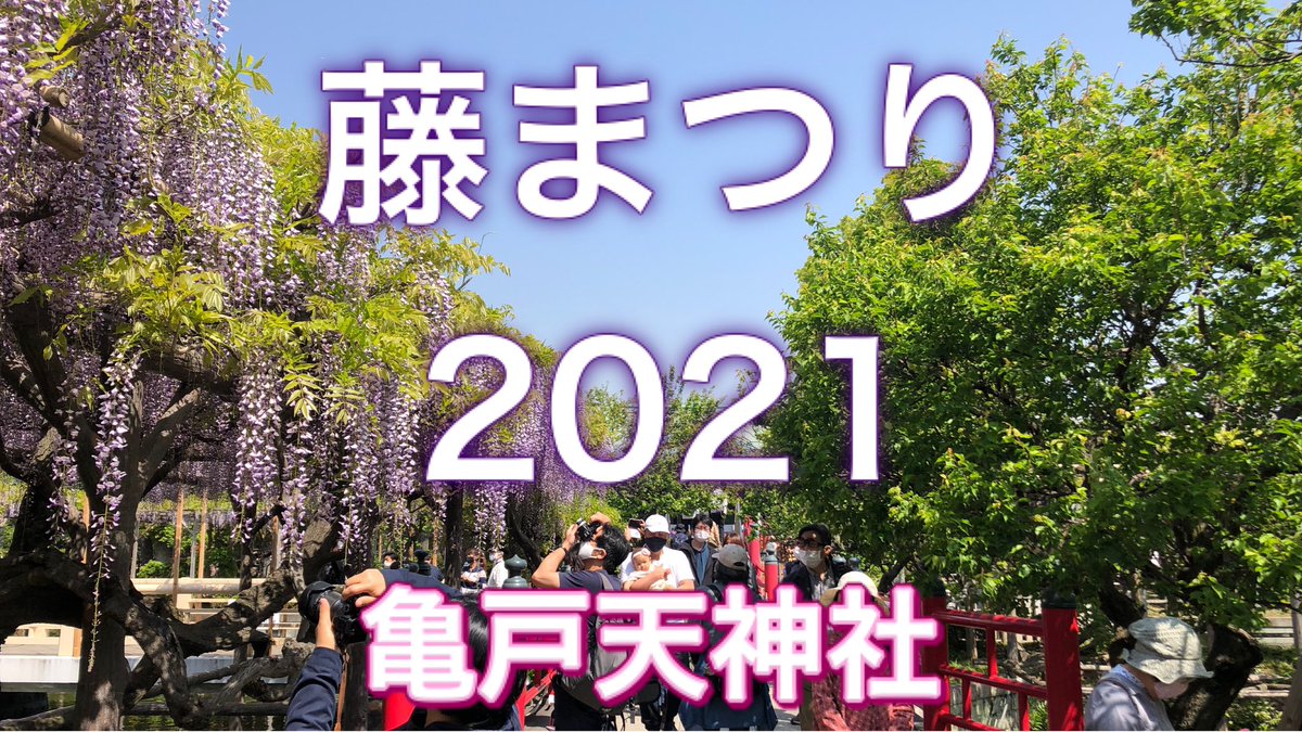 C 藤がきれいでした 青空と紫色の藤がとても綺麗なので 4k高画質で ぜひ見てくださいっ 東京 藤まつりの亀戸天神社を青空散歩 21 04 Wisteria Festival In Kameido Tenjinsha Tokyo Japan 動画 Movie T Co C 藤がきれいでした 青空と紫色の藤がとても綺麗なので 4k高画質で ぜひ見てくださいっ 東京 藤まつりの亀戸天神社を青空散歩 21 04 Wisteria Festival In Kameido Tenjinsha Tokyo Japan 動画 Movie T Co