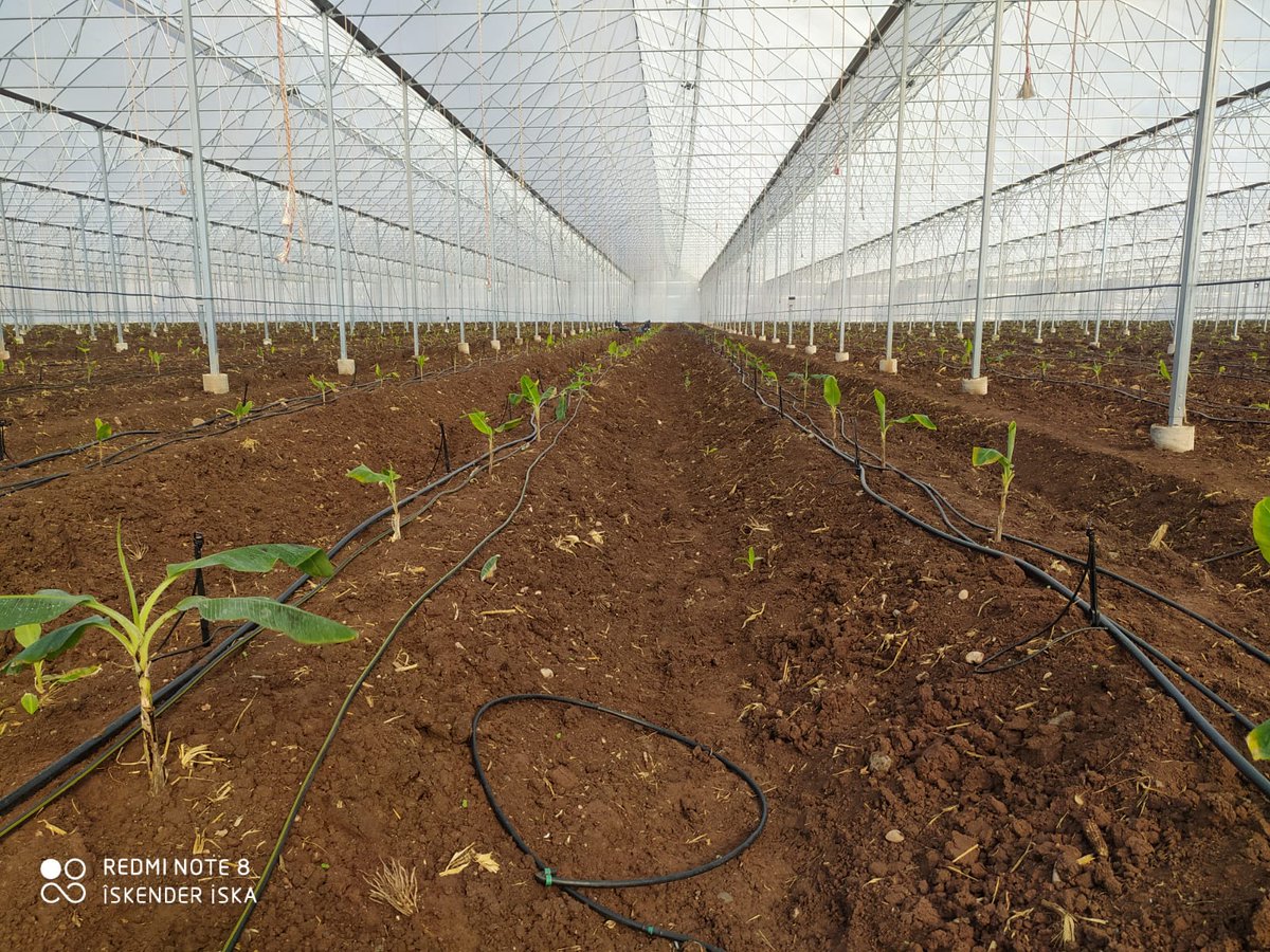 #Aileekonomisi #BloombergHT