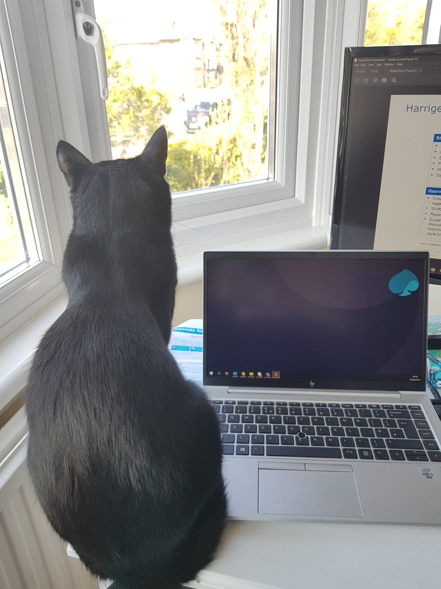 roshtapley's tweet photo. Induction week @capgemini and my PA is hard at work
#GAPBeInspired #newjob https://t.co/k5WiPtH81a
