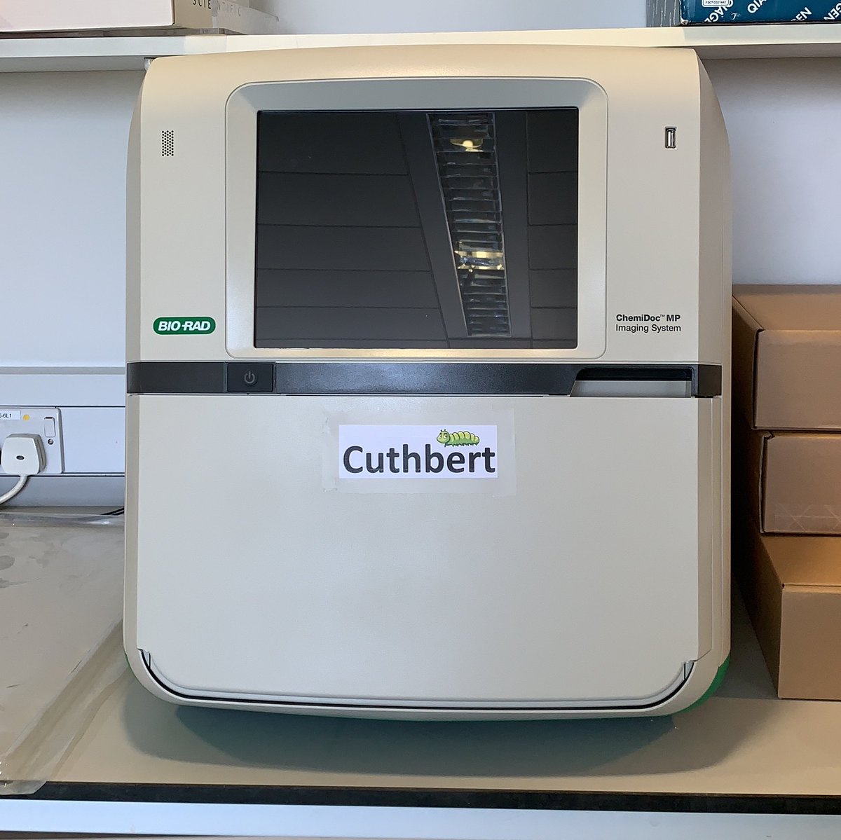 CELovegrove's tweet image. The lab is very excited at the arrival of the new ChemiDoc. So excited, it’s been christened with a contemporary, thematic name. #cuthbert #FreeCuthbert