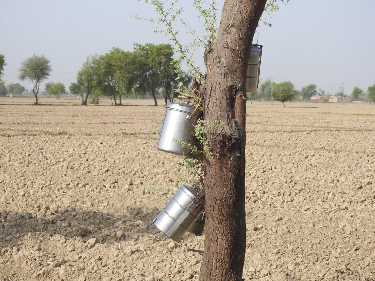 mmatalpur's tweet photo. #WaitingForSomeOne https://t.co/yqiuCQQW6X