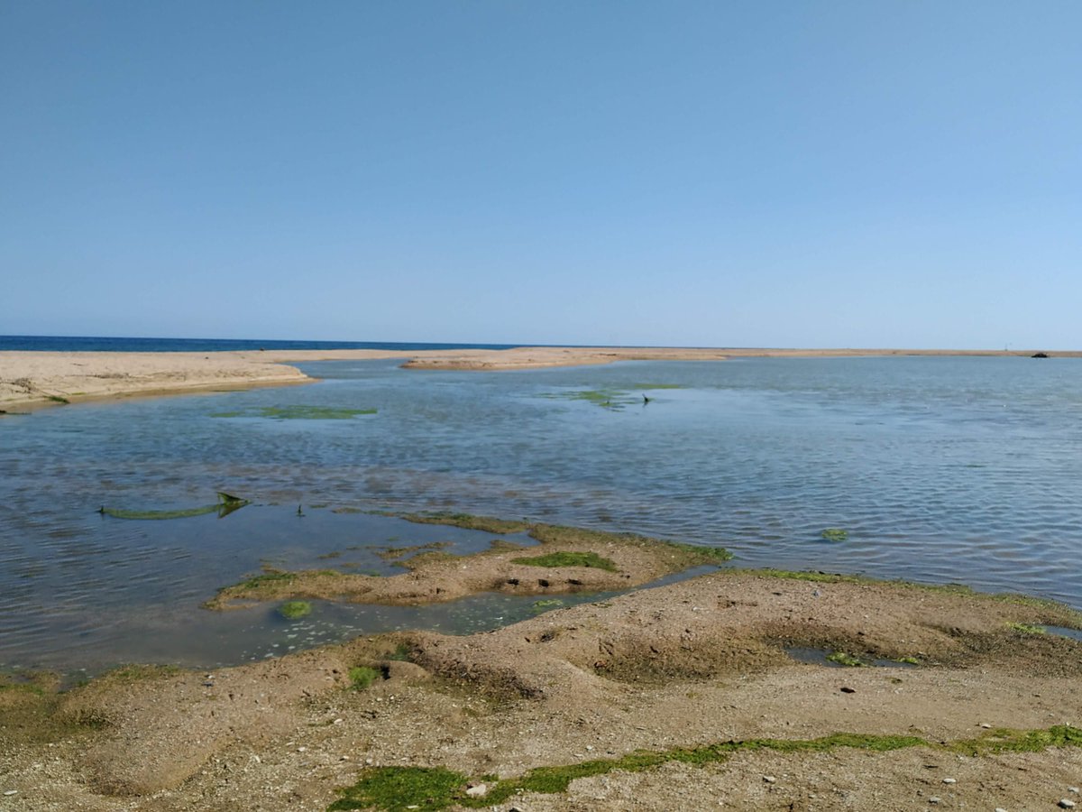 dvnavarro67's tweet photo. Mitja nit, no puc dormir. El meu cos desitja i se sent arrossegat per una força similar a la del riu quan entra a mar, volent-la conquerir però essent diluït en la seva immensitat. #acasantjordi21 #water2me https://t.co/Ip8dbSfJrE