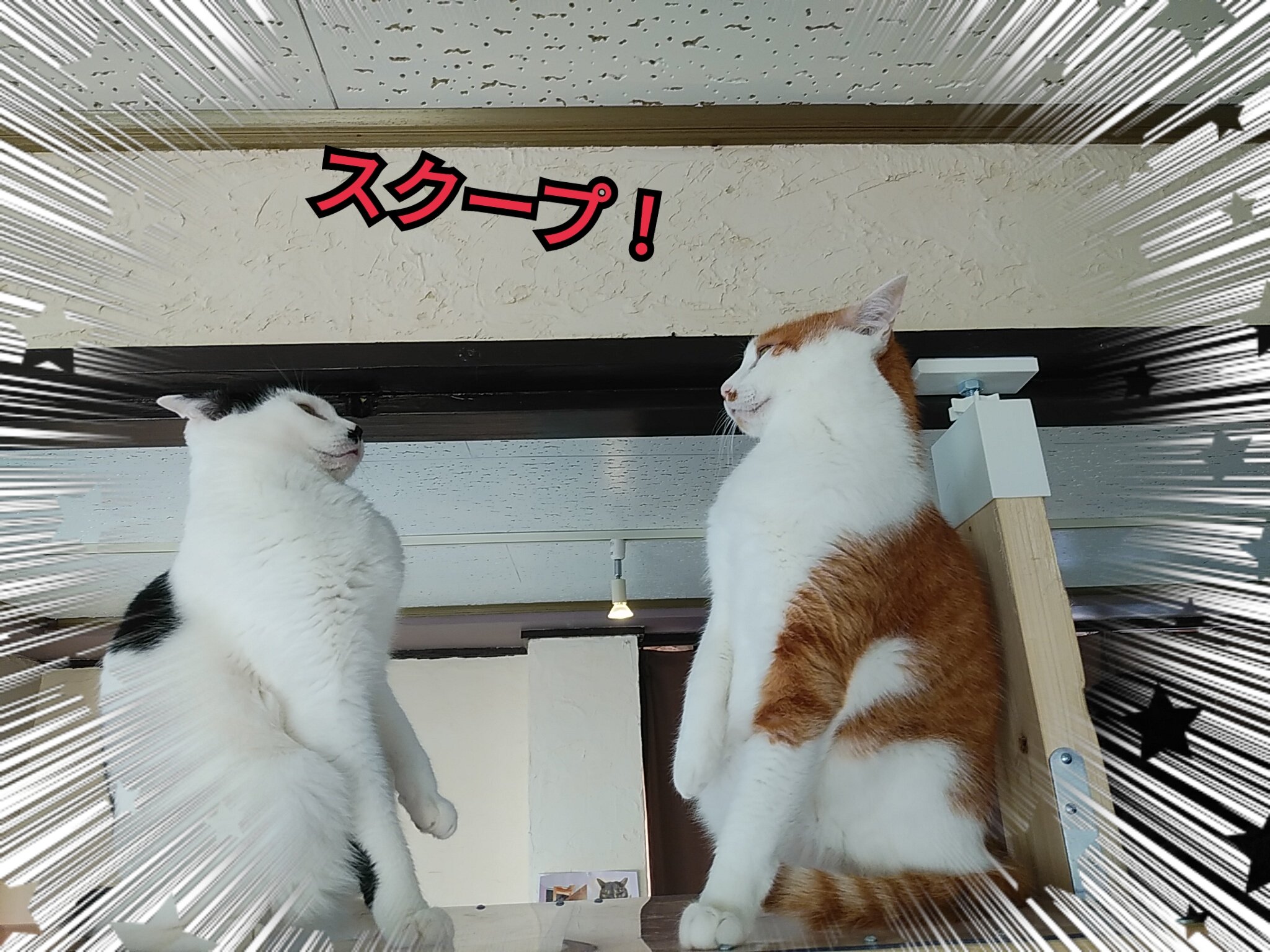 仲直りしたい Twitter Search Twitter