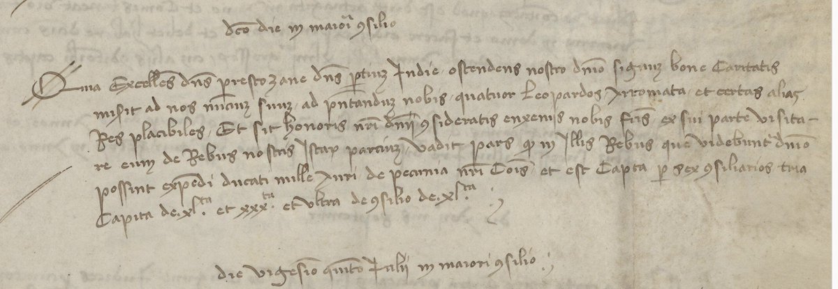 11/ He came with ‘marvelous & strange things’: a donkey & a monkey hide, a giant pearl, spices — and FOUR live leopards. We may assume Anthonius hadn’t been traveling from the Horn of Africa to the Lagoon by himself.