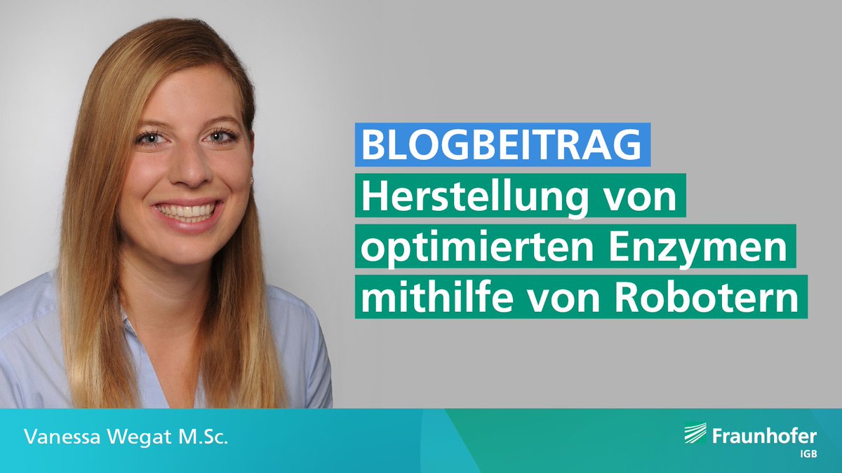 FraunhoferIGB's tweet image. Im institutsübergreifenden #Biointelligenz-Blog des Fraunhofer IPA schreibt IGB-Wissenschaftlerin Vanessa Wegat über die Herstellung von optimierten Enzymen mithilfe von Robotern. ow.ly/isAj50EsNuc