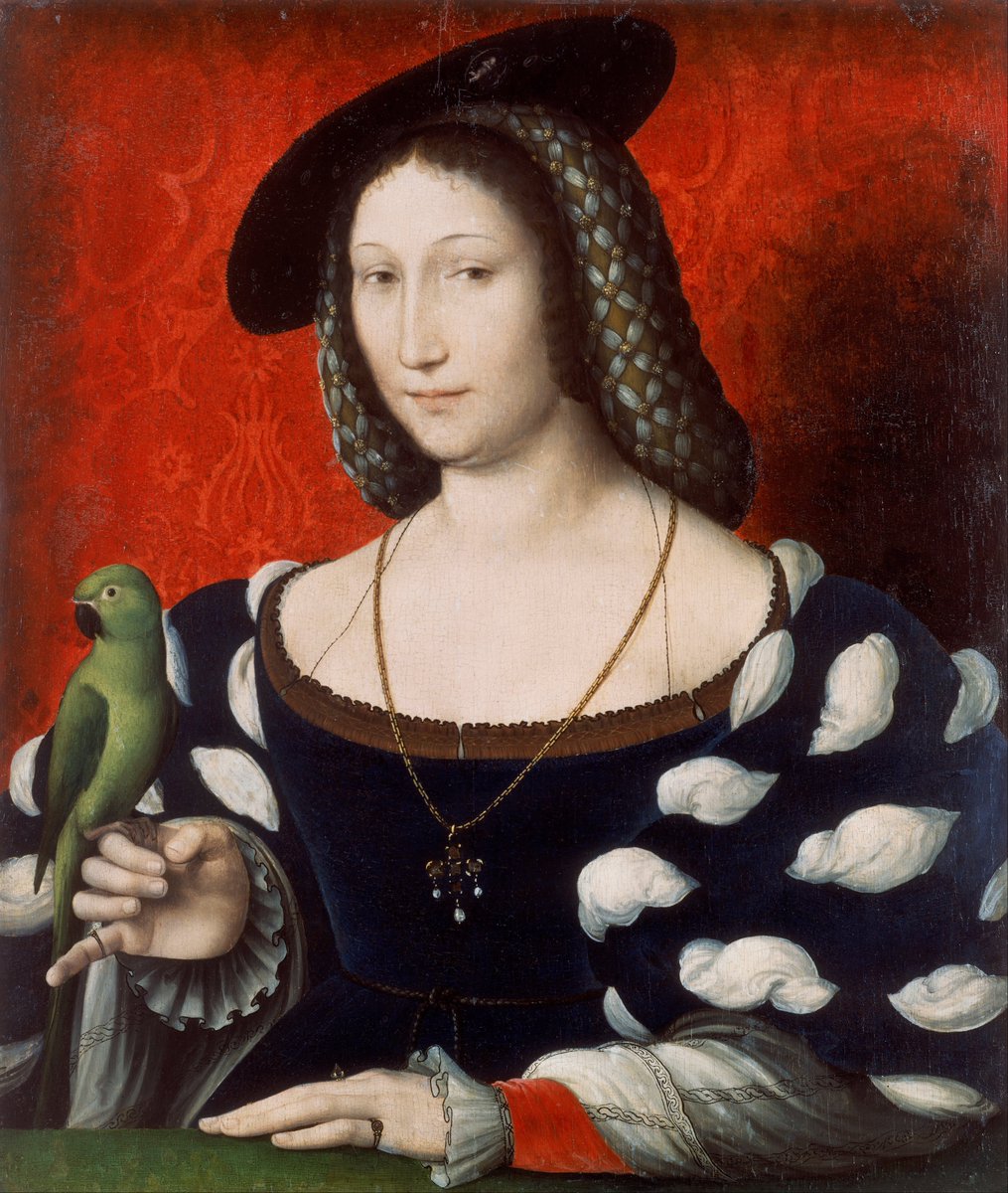  #NationalPetMonth Jean Lemaire de Belges wrote Les Épîtres de l’amant vert to comfort Marguerite of Austria whose parrot had been eaten by a dog in 1505. In poem, the parrot goes on a Dante-like journey through the underworld, until reaching Pet Paradise (full of famous animals)