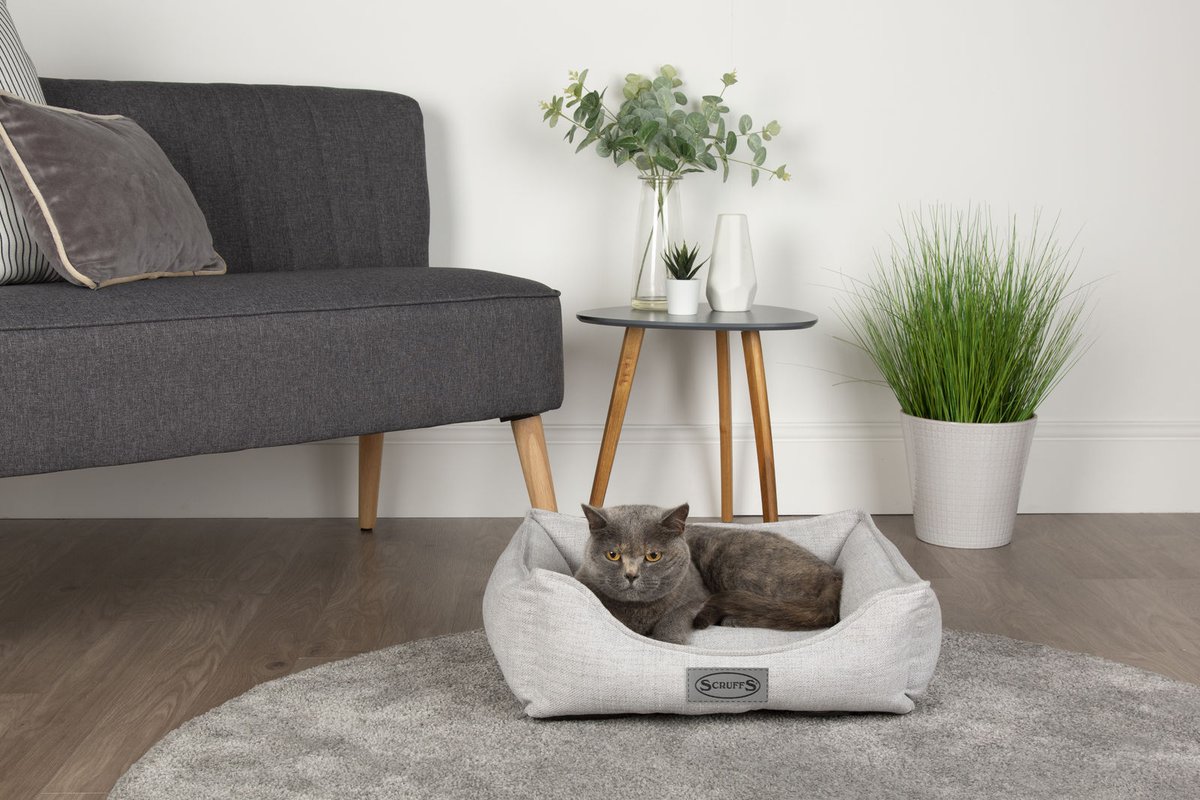 GoodVetPetGuide's tweet photo. #Competition #win a @PetsLoveScruffs Manhattan Box Bed for your #cat or #dog
The bed is designed using a soft-touch fabric with a marl finish effect.
Available in 4 sizes to suit any size of cat or dog.
https://t.co/llh8aW9wxz
#thepetsbiz #petdirectory https://t.co/PbAiTco6Pv