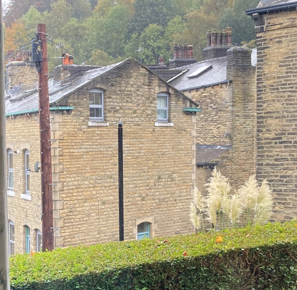 Angeldale tweet media